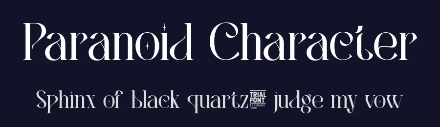 Paranoid Character by 177Studio — Serif Font — thumbnail 2