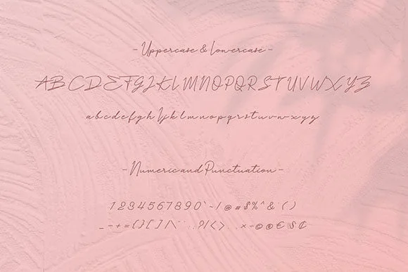 Paula Fluiton Font by RT Studio — Script Handwritten Font — thumbnail 6
