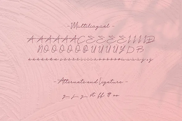 Paula Fluiton Font by RT Studio — Script Handwritten Font — thumbnail 7