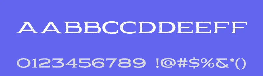 Pauraque Serif by NimaType — Serif Font — thumbnail 3