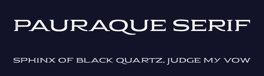 Pauraque Serif by NimaType — Serif Font — thumbnail 2