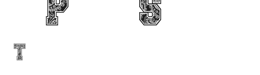Paysley Sports