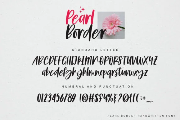 Pearl Border Font by Fourlines.design — Script Handwritten Font — thumbnail 8