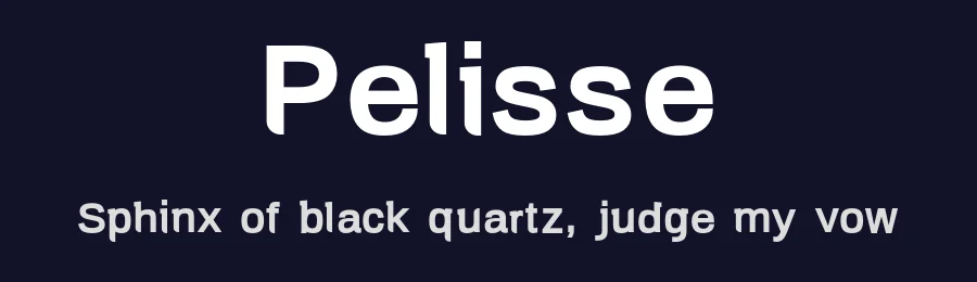 Pelisse by Naan Type Studio — Sans Serif Font — thumbnail 2
