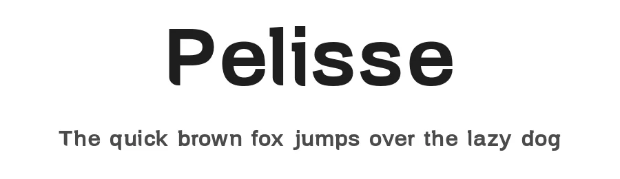 Pelisse by Naan Type Studio — Sans Serif Font