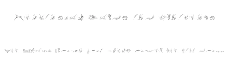 Penmanship Birds and Ornaments by Intellecta Design — Dingbats Font