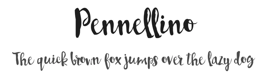 Pennellino
