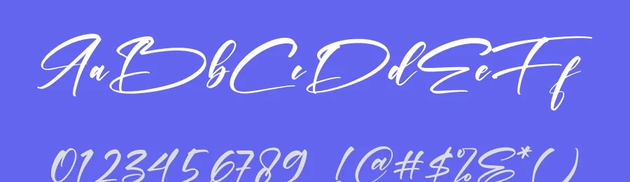 Pettrick Belinst by Letterena Studios — Script Handwritten Font — thumbnail 3