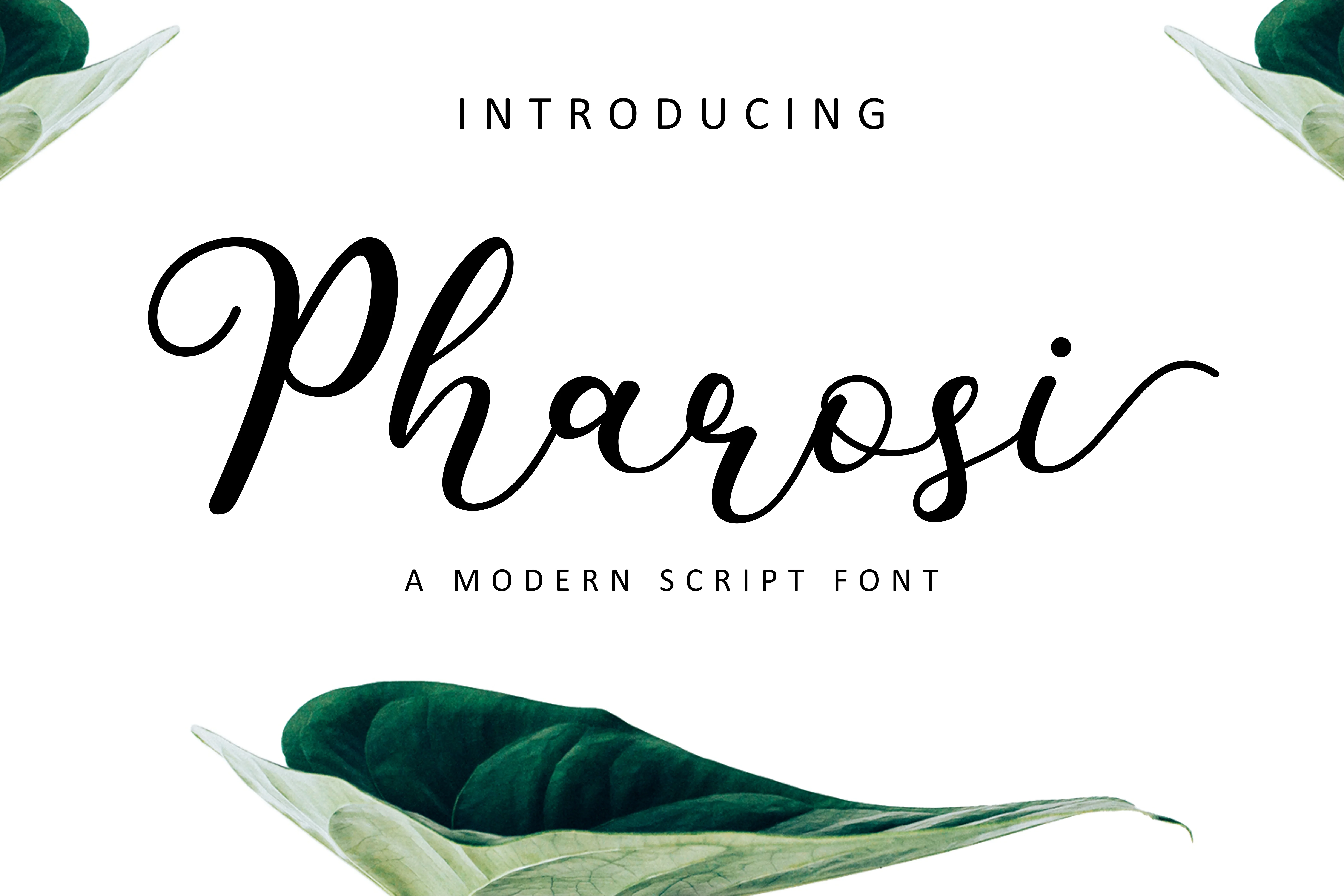 Pharosi Font by YdhraStudio — Script Handwritten Font