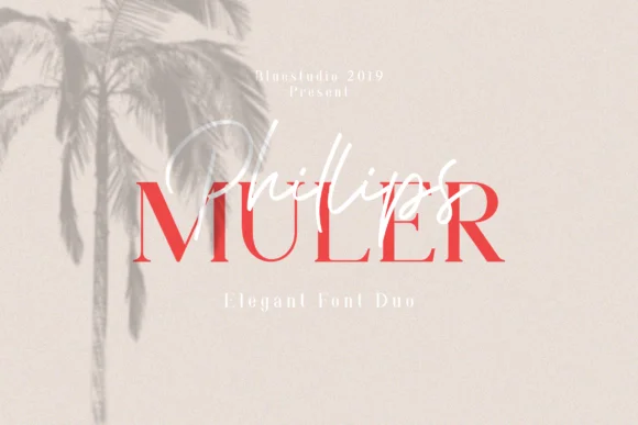 Phillips Muler Font by Bluestudio — Script Handwritten Font