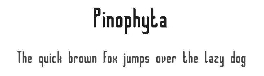 Pinophyta