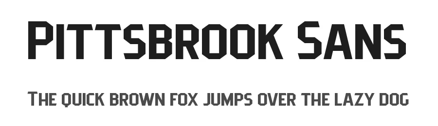 Pittsbrook Sans by Twicolabs Fontdation — Decorative Font