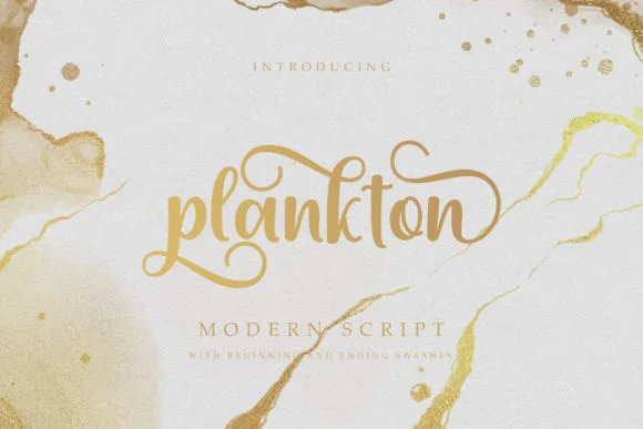 Plankton Font by Amarlettering — Script Handwritten Font