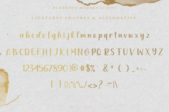 Plankton Font by Amarlettering — Script Handwritten Font — thumbnail 5