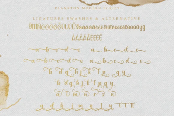 Plankton Font by Amarlettering — Script Handwritten Font — thumbnail 6