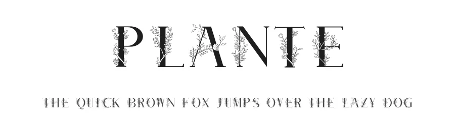 Plante