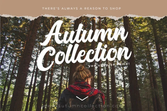 Platina Script by Debut Studio — Script Handwritten Font — thumbnail 3