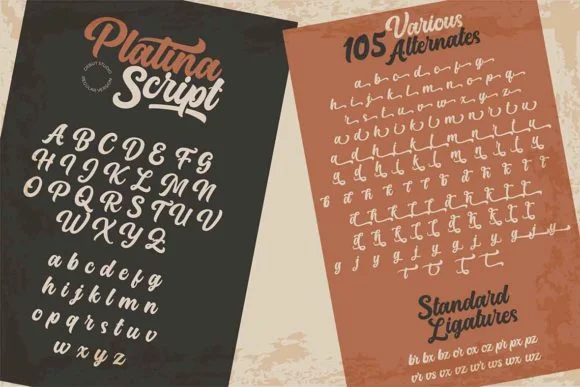 Platina Script by Debut Studio — Script Handwritten Font — thumbnail 6