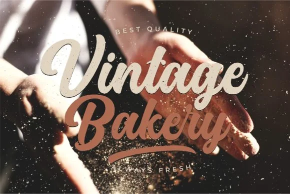 Platina Script by Debut Studio — Script Handwritten Font — thumbnail 3