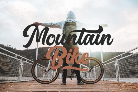 Platina Script by Debut Studio — Script Handwritten Font — thumbnail 4