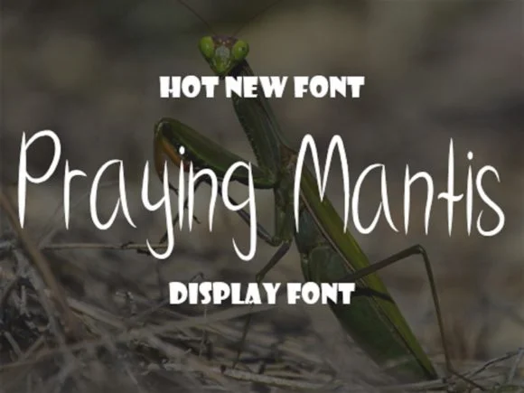 Praying Mantis Font by scriptstrategy — Script Handwritten Font