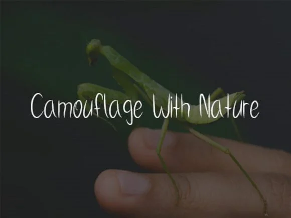 Praying Mantis Font by scriptstrategy — Script Handwritten Font — thumbnail 3