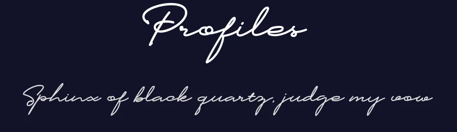Profiles by Letternun — Script Handwritten Font — thumbnail 2