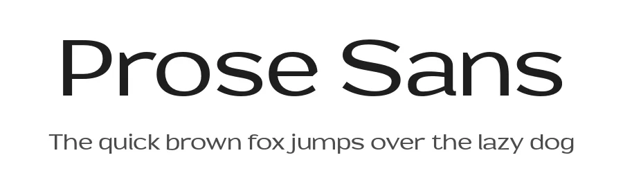 Prose Sans by Ayca Atalay — Sans Serif Font