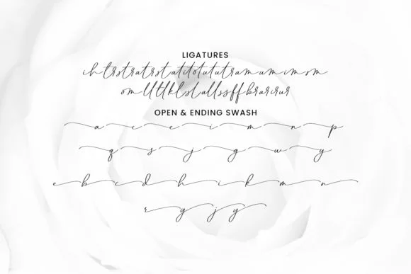 Pubrih Font by Maulana Creative — Script Handwritten Font — thumbnail 3