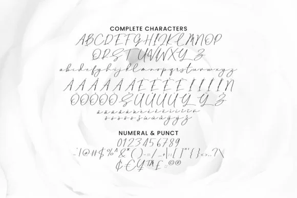 Pubrih Font by Maulana Creative — Script Handwritten Font — thumbnail 4