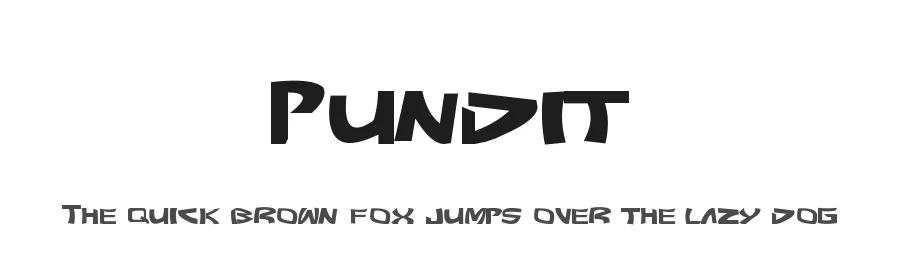 Pundit