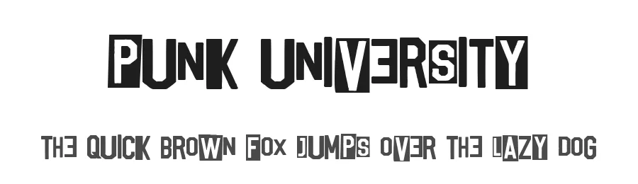 Punk University