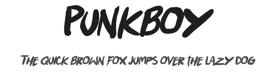 Punkboy