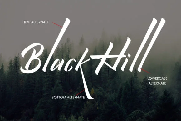 Qistty Font by saxofontid — Script Handwritten Font — thumbnail 3