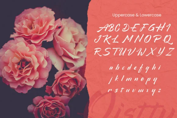 Qistty Font by saxofontid — Script Handwritten Font — thumbnail 6