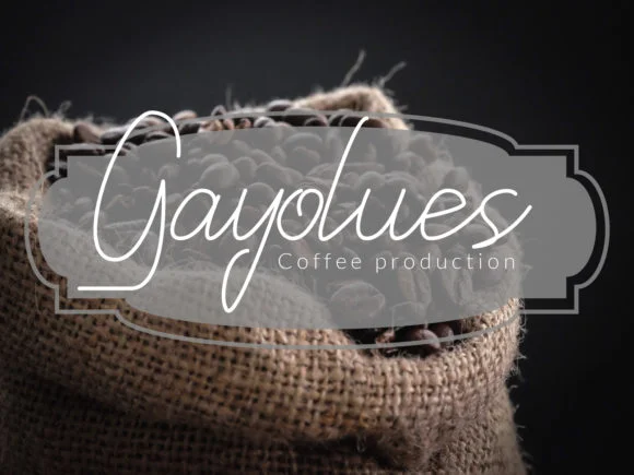 Qittuny Font by Mytype Studio — Script Handwritten Font — thumbnail 4