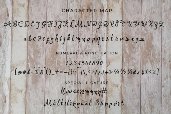 Quallien Cansta Font by Gie Studio — Script Handwritten Font — thumbnail 9