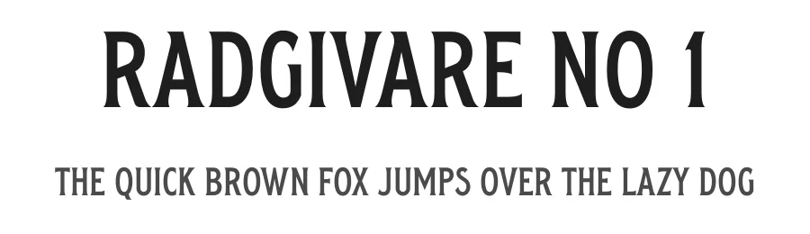 Radgivare No 1