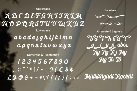 Radio Classic Font by RoninDesign — Script Handwritten Font — thumbnail 2