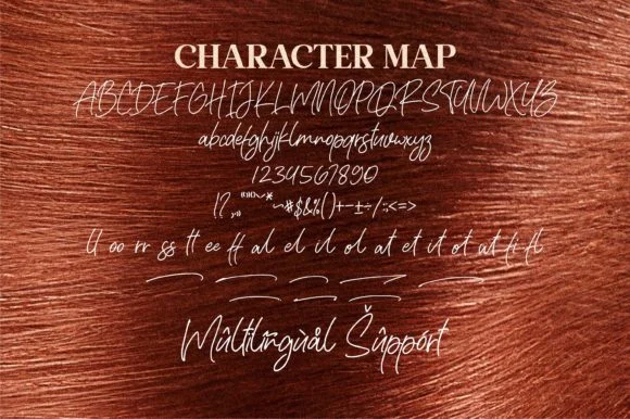 Rafaella Signature Font by Letterena Studios — Script Handwritten Font — thumbnail 2