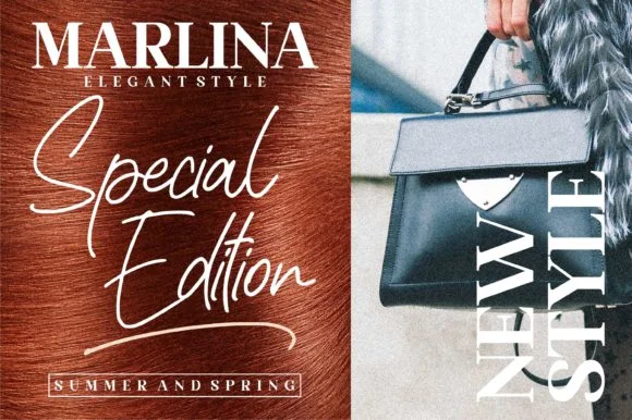 Rafaella Signature Font by Letterena Studios — Script Handwritten Font — thumbnail 4