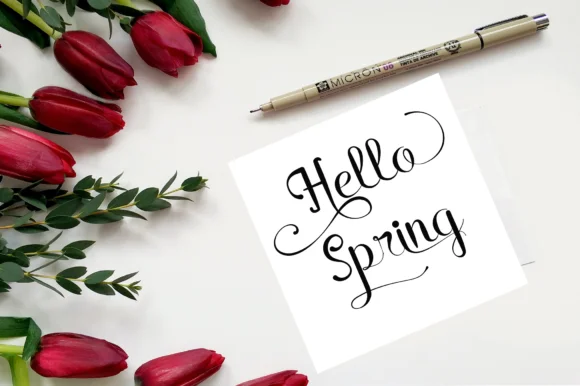 Rain in Spring Font by Dedi Art Studio — Script Handwritten Font — thumbnail 2