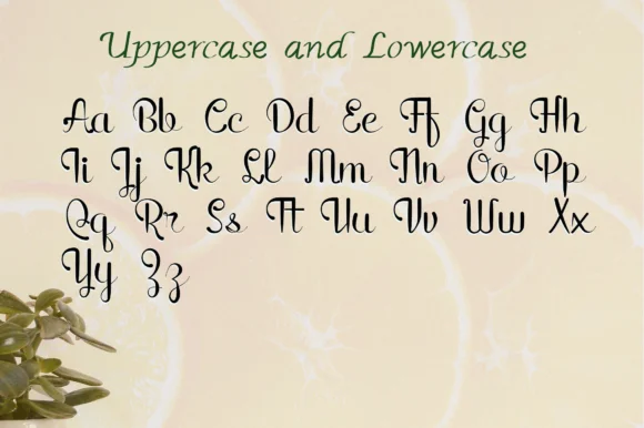 Rain in Spring Font by Dedi Art Studio — Script Handwritten Font — thumbnail 6