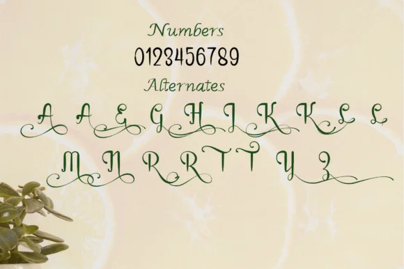 Rain in Spring Font by Dedi Art Studio — Script Handwritten Font — thumbnail 7