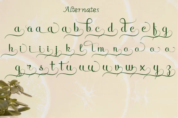 Rain in Spring Font by Dedi Art Studio — Script Handwritten Font — thumbnail 8