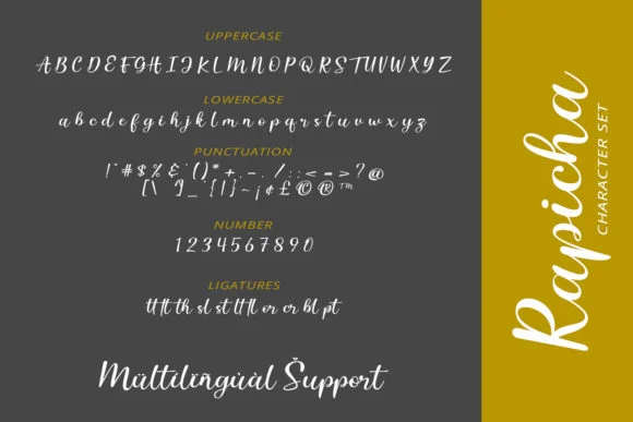 Rapicha Font by Mytype Studio — Script Handwritten Font — thumbnail 7