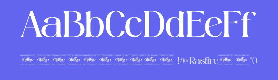 Rasfire by Din Studio — Serif Font — thumbnail 3