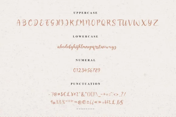 Rashida Font by Febri Creative — Script Handwritten Font — thumbnail 8