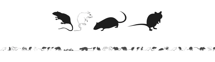 Rats by Woodcutter — Dingbats Font