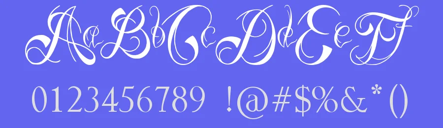 Ready Black by JSH creates — Script Handwritten Font — thumbnail 3